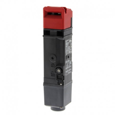 Guard lock safety-door switch, D4SL-N, M20, 1NC/1NO + 1NC/1NO, head: resin, mechanical lock/24VDC solenoid release